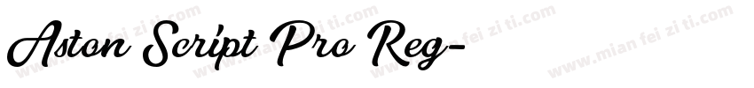 Aston Script Pro Reg字体转换